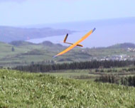 Flygfrakt?